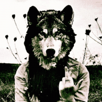 Avatar de misterpiru