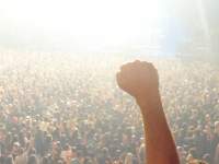 Avatar de manos.de.arbol