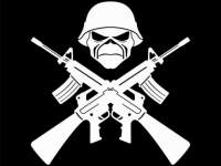 Avatar de hammerhead