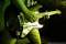 Avatar de eric_olivera_00