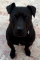 Avatar de churusanfer