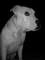 Avatar de Douglas